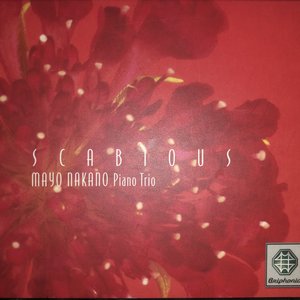 Scabious