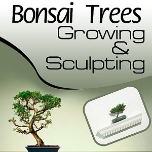 Bonsai Trees 101 - Growing and Sculpting