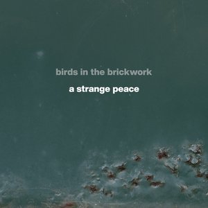 Birds In The Brickwork 的头像