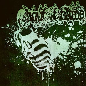 Honey Is Bee Vomit [Explicit]
