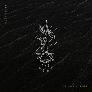 Dark Skies cover