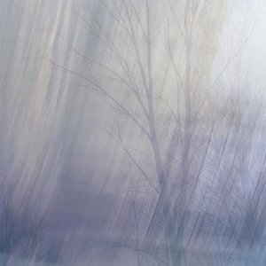 Cleanse [demo]