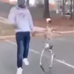 Avatar di darrens diamond