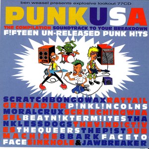 Punk USA: The Compilation Soundtrack to Your Breakdown