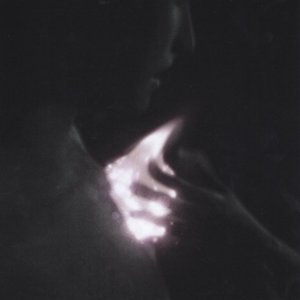 Dwelling Descender