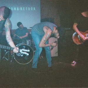 Carmona Retusa 的头像