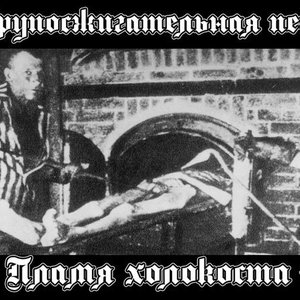 Трупосжигательная печь 的头像