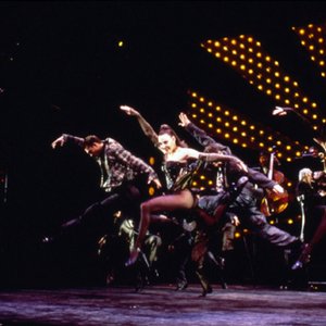 Cast:  Fosse The Musical 的头像