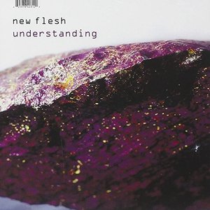 Understanding [Explicit]