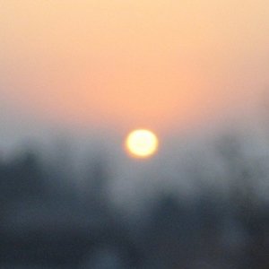 young again 的头像