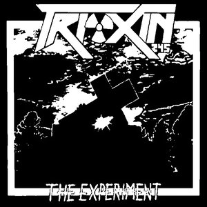 the experiment