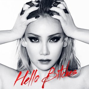 Image for 'Hello Bitches - Single'