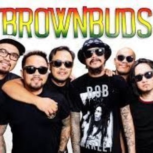 Brownbuds 的头像