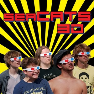 SEACATS 3D