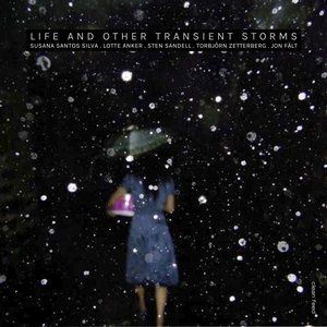 Life and Other Transient Storms