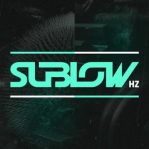 Sublow Hz 的头像