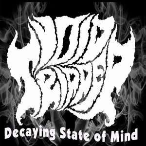 Decaying State of Mind