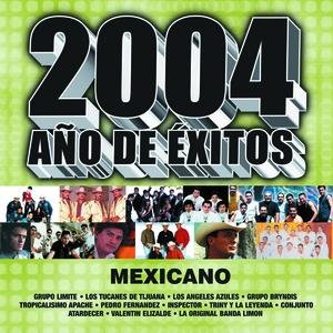 2004 Año De Exito Mexicano