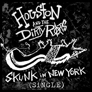 Skunk in New York
