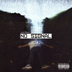 No Signal