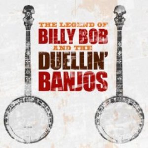 Image for 'The Billy-Bob Banjo Band'