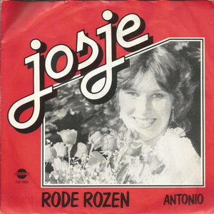 Rode rozen / Antonio