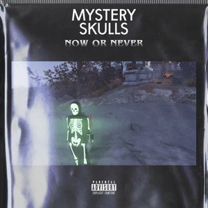Now Or Never [Explicit]