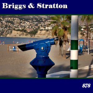 Briggs & Stratton present:  878