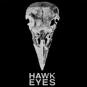 Hawk Eyes Live in Amsterdam