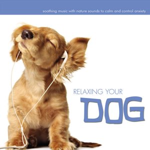 Relaxing Your Dog