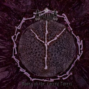 Bones Of The Sacred Forest