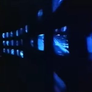 INSOMNIA comm. 的头像