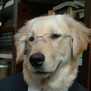 Геннадий Собачий 的头像