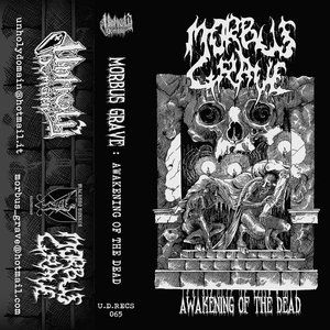 Awakening of the Dead
