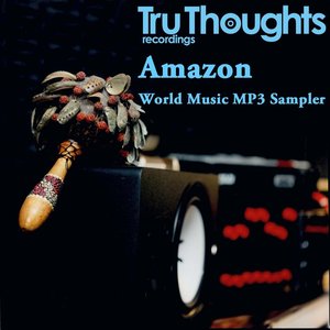 'Tru Thoughts World Music MP3 Sampler' için resim