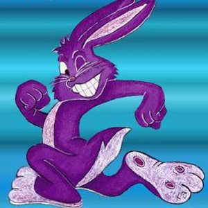 Best of DJ Purple Rabbit Compilation