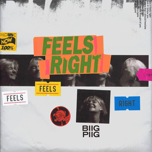 Biig Piig - Feels Right - Single - Zortam Music