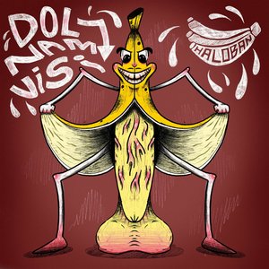 Dol Nam Visi