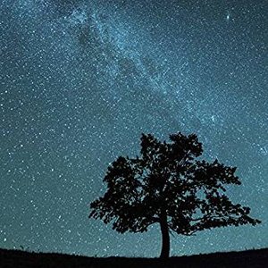 Sleepy Night Music 的头像