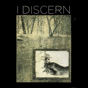 I Discern 的头像