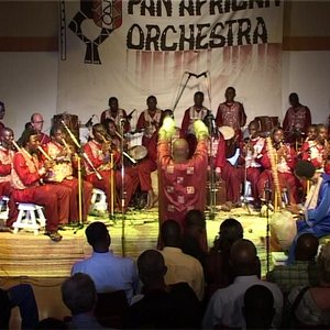 The Pan African Orchestra 的头像