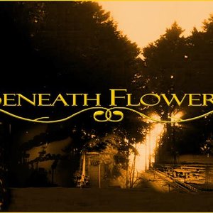 Аватар для Beneath Flowers