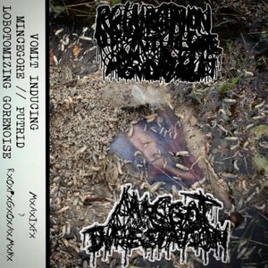 RxOxPxGxOxAxMxNx/MxAxIxFx Split