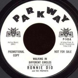 Walking In Different Circles / 10 Days With Brenda