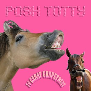 Posh Totty