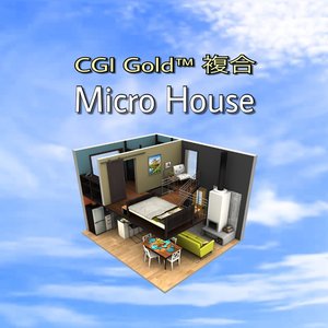 Micro House