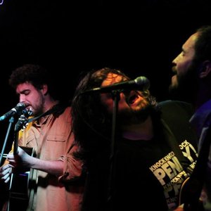 Spheniscidae 的头像