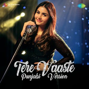 Tere Vaaste (Punjabi Version)