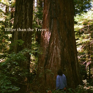 Taller than the Trees
