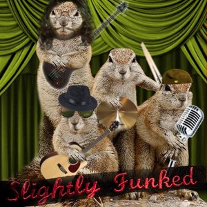 Slightly Funked 的头像